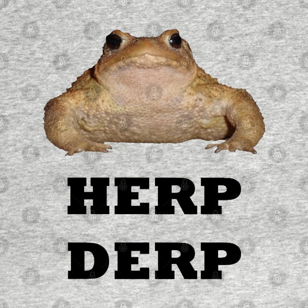 Herp Derp Cute Toad Vector by taiche